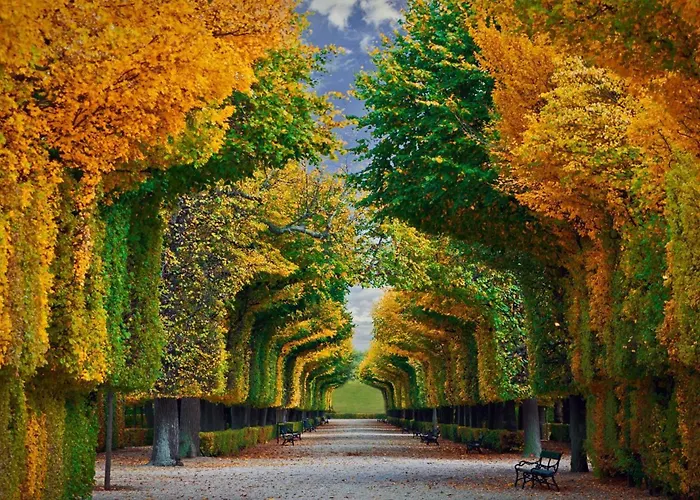 Schoenbrunn Palace Luxury 5 Min Walk